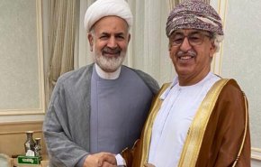 سفیر ایران با وزیر بهداشت سلطنت عمان دیدار کرد