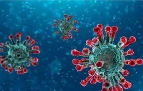 ليتوانيا وهولندا تعلنان أول إصابات بفيروس كورونا