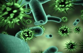 فرنسا تؤكد وجود 19 اصابة جديدة بفيروس كورونا المستجد
