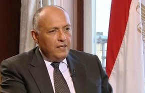 وزير الخارجية المصري يزور عدة دول عربية لتسليم رسالة من السيسي