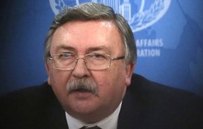 دبلوماسي روسي: مجلس الحكام بدأ بمراجعة تقرير الوكالة حول إيران