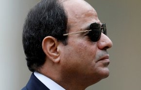 الرئيس المصري يصدر قانونا جديدا