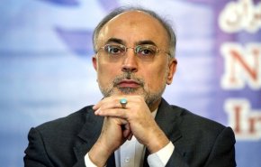 پیام تسلیت  رئیس سازمان انرژی اتمی ایران  به سیدحسن نصرالله