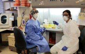 ارتفاع عدد الوفيات بفيروس كورونا في فلسطين المحتلة إلى 12