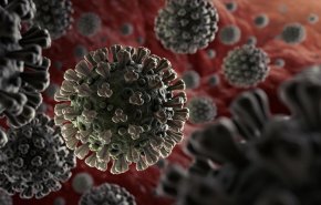 حقائق جديدة حول كورونا: 3 سلالات مختلفة تجتاح العالم!