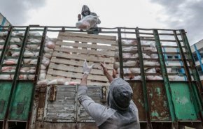 كورونا وجرس الانذار في المخيمات الفلسطينية 