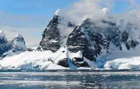 بالفيديو.. مخلوق أسود غامض يثير حيرة واستغراب الناشطين