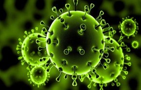 مفاجأة وزارة الصحة الروسية حول تأثير الثوم والليمون والزنجبيل على فيروس كورونا