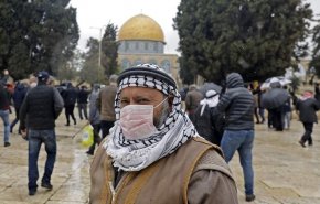 تسجيل 290 إصابة مؤكدة بكورونا في فلسطين المحتلة