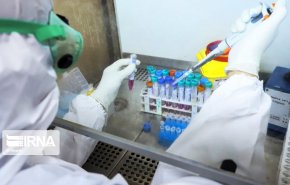 باحثون ایرانیون یصممون مستشعرا نانویا لتحديد حجم الفيروس