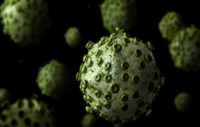معلومات غريبة جديدة عن فيروس كورونا ومكان إختبائه في الجسم