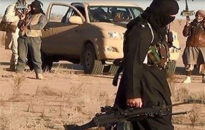 حضور داعش و القاعده در 'بدخشان' حقیقت ندارد