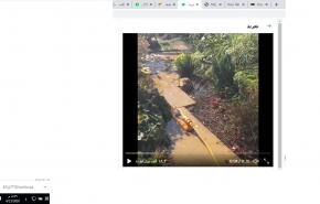 شاهد.. قنفذ أعمى يلهو في حديقته