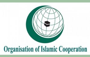 سازمان همکاری اسلامی: اقدامات تل‌آویو نقض قطعنامه‌های شورای امنیت است