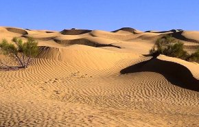 شاهد..صحراء زوارة الايرانية ترتوي بالماء بعد 65 عاما من الظمأ