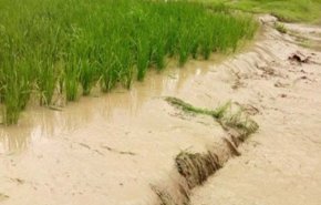مقتل شخصين واصابة اخرين جراء السيول في محافظة مازندران

