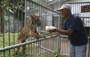 المجاعة تهدد حدائق الحيوانات في إندونيسيا بسبب كورونا 