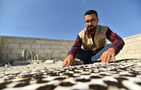 شاهد..شاب سوري ينتج 35 طن خضراوات على سطح بناية