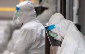 الكشف عن موعد ذروة فيروس كورونا في المغرب