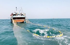 توقيف 34 سفينة بمياه ايران الجنوبية تقوم بعمليات صيد غير مشروعة