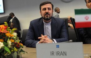 غريب آبادي: إيران ما تزال رائدة مكافحة المخدرات في العالم