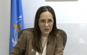 ممثلة منظمة الصحة العالمية قلقة بشان كورونا في لبنان