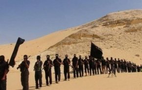 قتل ۴ شهروند مصری توسط داعش به بهانه همکاری با ارتش