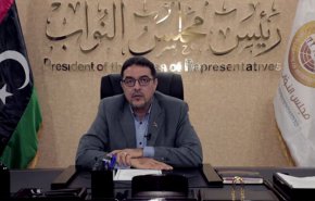 المجلس الليبي يعلن عن انفتاحه على جميع المبادرات لمصلحة الوطن