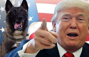 دسته گل تازه رییس جمهوری آمریکا در تحریک معترضان/ ترامپ در واکنش به انتقاد وزیر دفاع پیشین خود، او را "سگ دیوانه" خطاب کرد