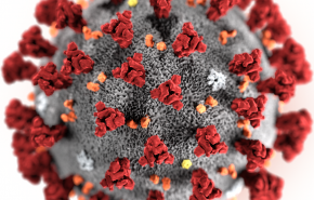 وفاة مصابة بفيروس كورونا في لبنان