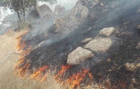 آتش‌سوزی در جنگل‌های بلوط بلند سدکارون ۴ مهار شد