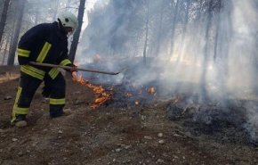 شاهد: حرائق كبيرة في السويداء ألحقت ضررا بالمحاصيل الزراعية