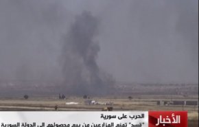 تروریست ها محصول گندم در شمال سوریه را آتش زدند+ ویدئو