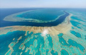 شاهد ماذا يفعل الاحتباس الحراري بالشعاب المرجانية العظيمة