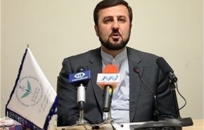 طهران تحذر من تسييس مجلس الحكام لاصدار قرار ضد ايران