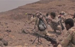 الجيش اليمني يحرر معظم 'جبهة قانية' بمحافظة البيضاء