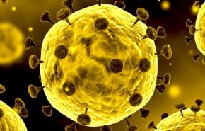 ظهور گونه جدید ویروس کرونا؛ با قدرت بیماری زایی بالاتر
