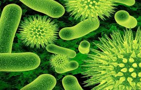ظهور 'البكتيريا الأخطر' في تاريخ البشرية.. والصين تحذر
