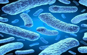 وأخيرا.. العلماء عثروا على البكتيريا التي تأكل المعادن