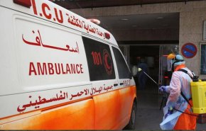كورونا.. فلسطين تسجل اعلى حصيلتها اليومية في الاصابات