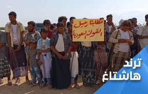 آرزوهای بر باد رفته عربستان در شرق یمن