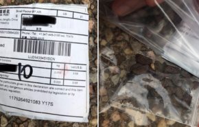 طرود غامضة من الصين الى اليابان وأمريكا وكندا.. والصين تنفي