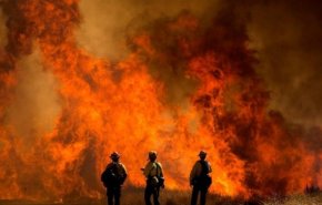 آتش‌سوزی مهیب در کالیفرنیا | 8000 نفر مجبور به ترک خانه‌هایشان شدند