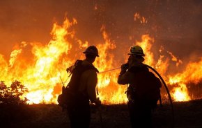 20 هزار هکتار از جنگل‌های کالیفرنیا سوختند؛ تصویب بودجه اضطراری برای مهار آتش‌سوزی
