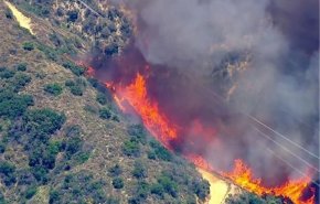 فیلم| آتش‌سوزی گسترده در جنگل‌های لس‌آنجلس