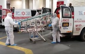 77919 مصاباً بـ'كورونا' لدى الاحتلال
