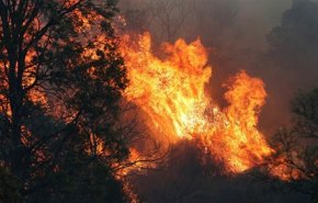 إخلاء مئات المنازل في كاليفورنيا عقب اندلاع حريق غابات هائل
