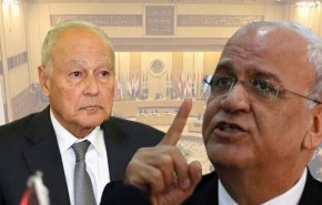 عريقات لأمين عام الجامعة العربية: إما إدانة الاتفاق، أو الاستقالة