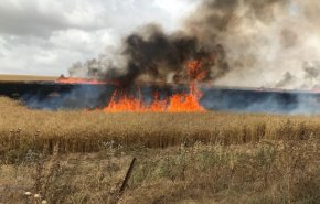 28 حريقا ببالونات العودة في 'غلاف غزة'