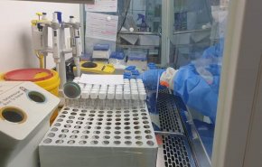 الإصابات بفيروس كورونا في ليبيا تجاوزت 8000 حالة